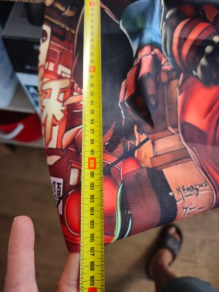 Poster de Tecido Street Fighter