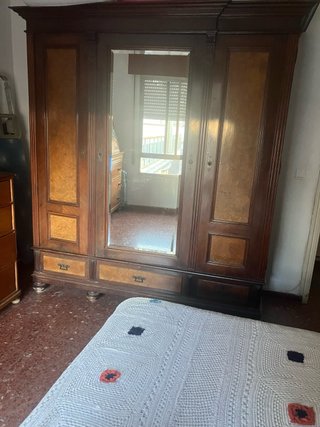 Armario Antiguo Siglo XIX con Raíz y caoba