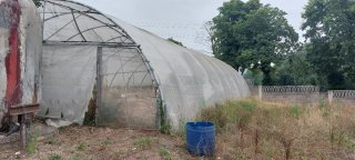 Invernadero para finca