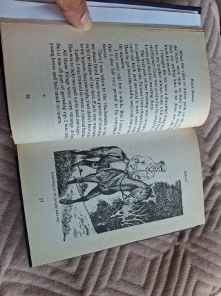 Black Beauty libro novela