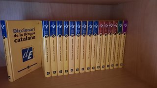 Lote de diccionaris en català