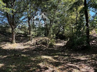 Terreno en venta en Cañiza (A)