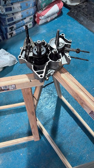 Motor am6