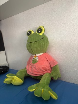 Peluche de Rana con Camiseta Rosa
