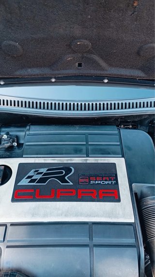 SEAT LEON CUPRA R 265