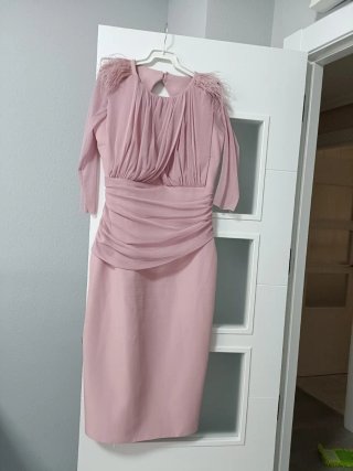 Vestido Rosa con Detalles de Plumas