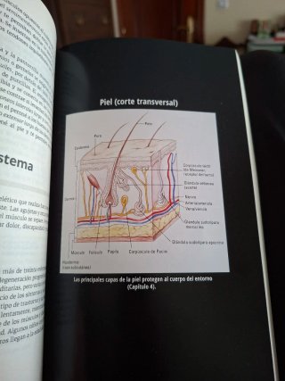 Anatomía y fisiología para Dummies
