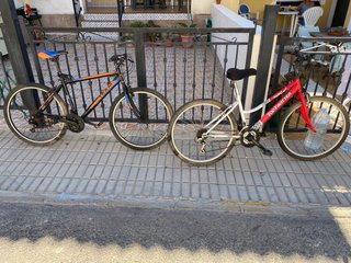 2 Bicicletas de Montaña TopTrotter