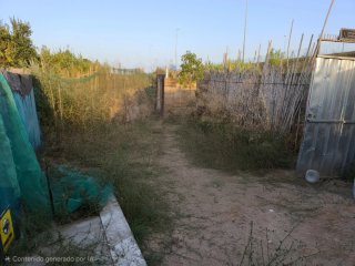 Huerto en Cornellà de Llobregat