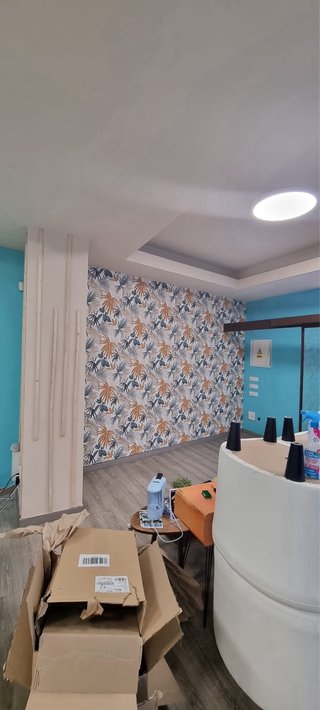 Servicio de pintura profesional