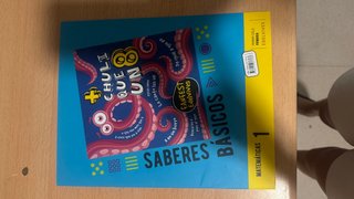 Saberes basico matematicas 1