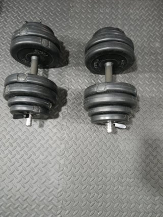 Mancuernas ajustables 15kg