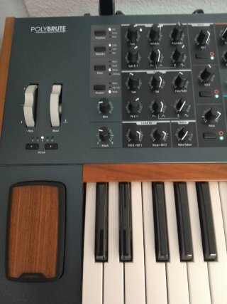 Behringer PolyBrute Sintetizador Analógico