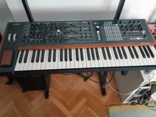 Behringer PolyBrute Sintetizador Analógico
