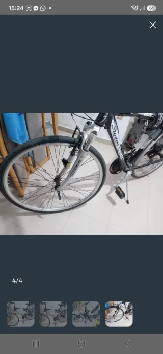 Bicicleta Alpina Top Gun