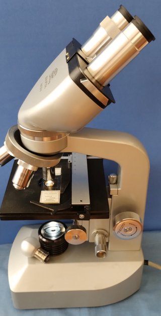 Microscopio clásico binocular Seiwa