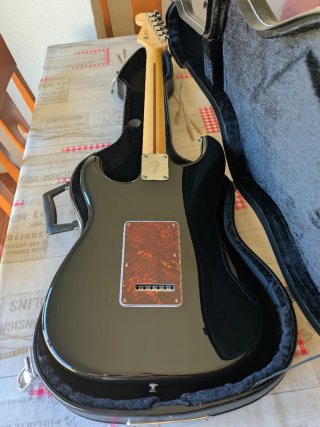 Fender Stratocaster Player