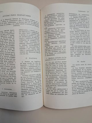 EDUCACIÓN ESPECIAL ORGANIZACIÓN ESCOLAR Y DIDÁCTIC