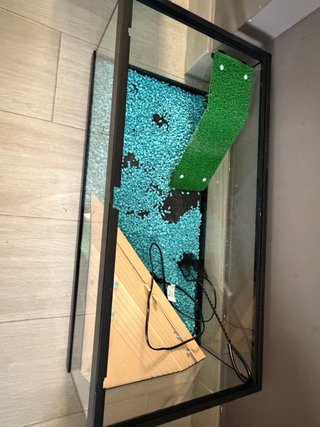 Pecera completa con accesorios