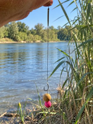 5 BAJOS DE LÍNEA CARP FISHING – RIOT Nº4