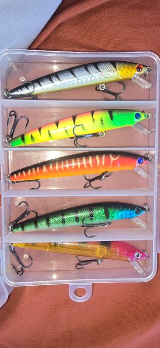 Set de 5 Señuelos Artificiales de Pesca