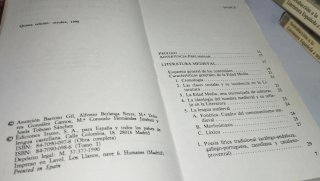 Introducción a la literatura española a través ...