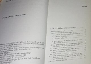 Introducción a la literatura española a través ...