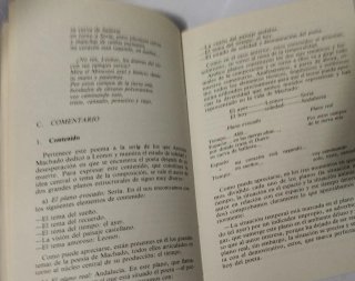 Introducción a la literatura española a través ...