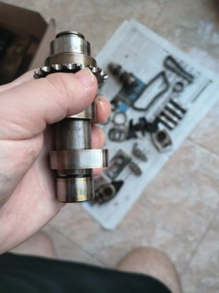 Árboles de levas HD Dyna Fat Bob 96 con cadenas.