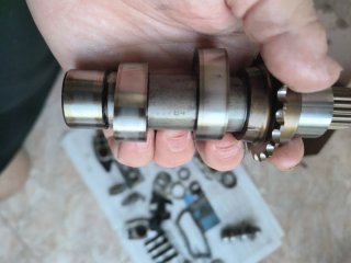 Árboles de levas HD Dyna Fat Bob 96 con cadenas.