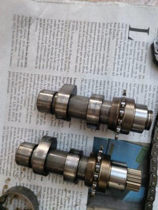 Árboles de levas HD Dyna Fat Bob 96 con cadenas.