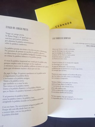 LOTE Libros de Poesía Cernuda + Marwan