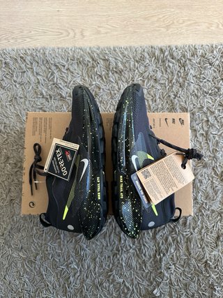Nike pegasus trail 5 Gore-Tex