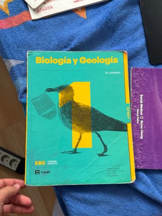 Libro de 1 eso