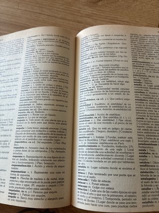 Larousse diccionario escolar