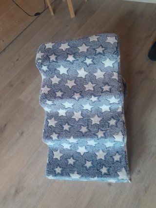Escalera para mascotas