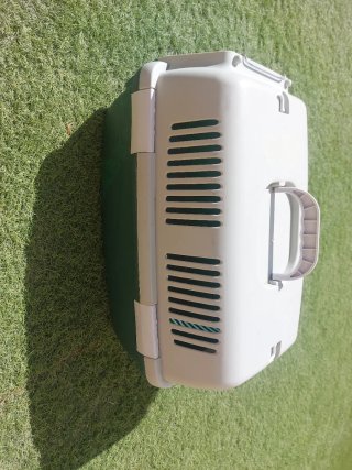 Transportín para Gatos.