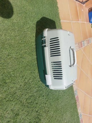 Transportín para Gatos.