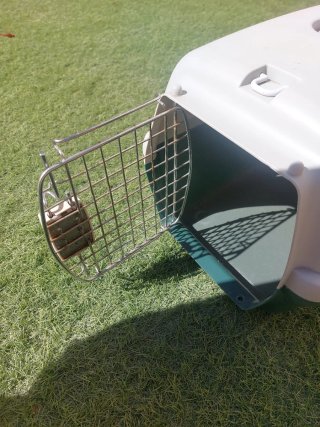 Transportín para Gatos.
