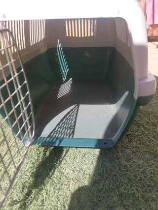 Transportín para Gatos.