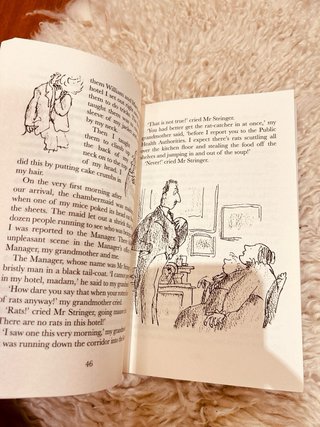 The Witches | Roald Dahl| libro inglés
