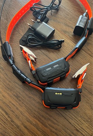 Collares Eseek GPS Nuevos