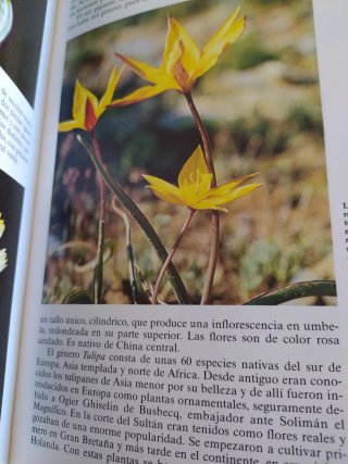 Historia Natural Flora