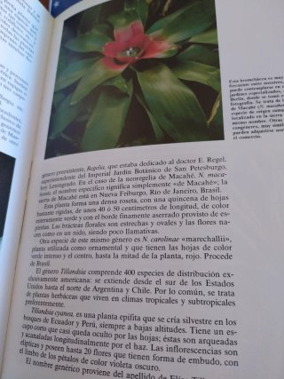 Historia Natural Flora