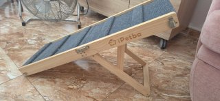 Rampa para perros iPetba