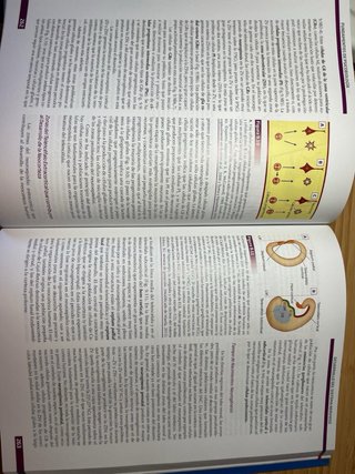 Fundamentos psicobiología. UNED