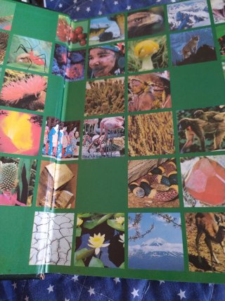 Historia Natural Fauna