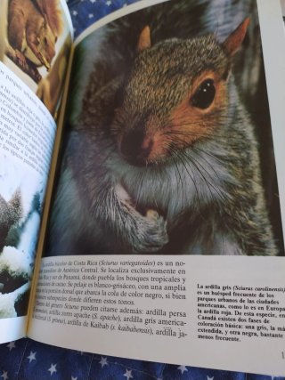 Historia Natural Fauna