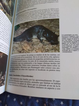Historia Natural Fauna