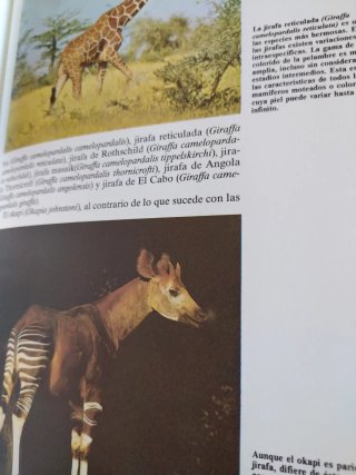 Historia Natural Fauna